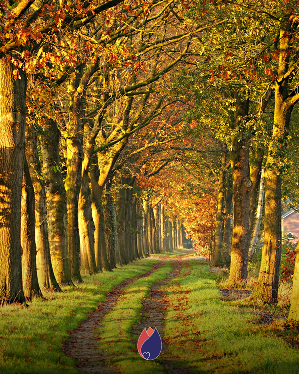 Duidelijkheid Met Een Laatstewensgesprek 