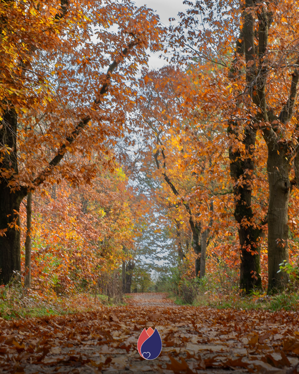 Afscheid In De Herfst